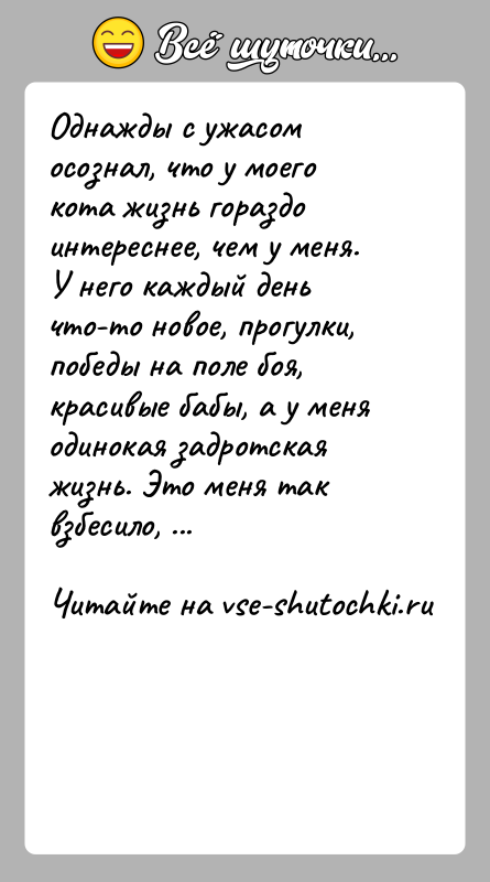 История: Однажды с ужасом осознал, что у моего кота жизнь гораздо интереснее, чем у меня. У него каждый день что-то новое,