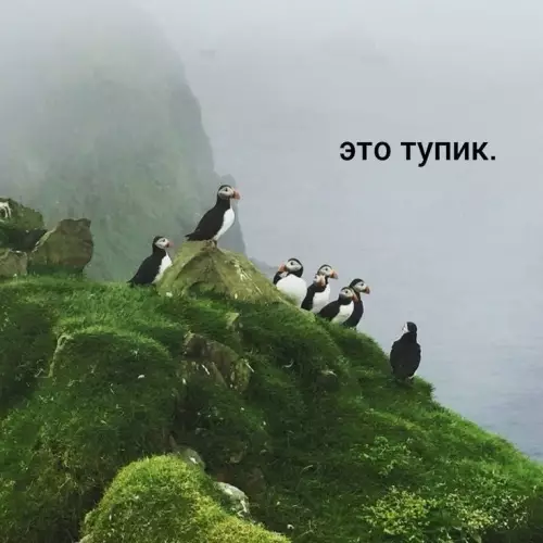 Смешная картинка №788628