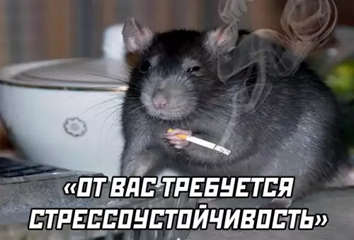продолжение Смешная картинка №605730 работа