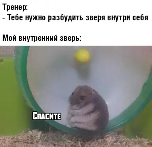 Смешная картинка №393141