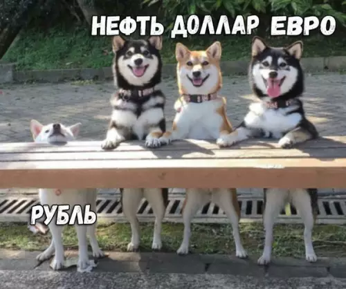 Смешная картинка №253185