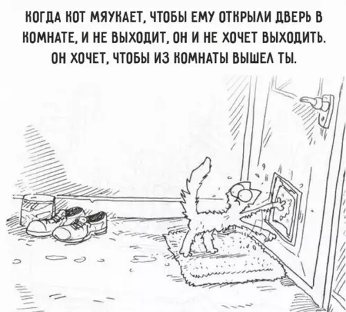 Смешная картинка №493948 Ужe из coбcтвенного дома выгоняют кошки