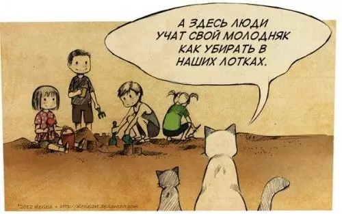 Смешная картинка №307551 кошки