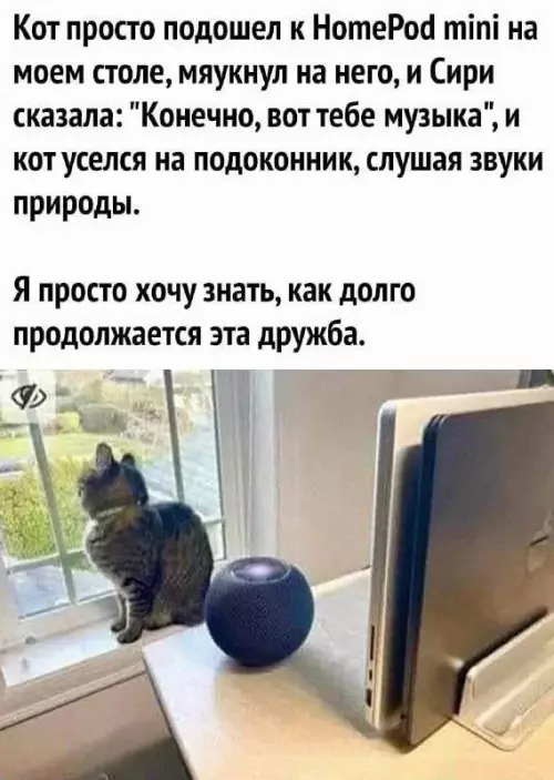 Смешная картинка №683309