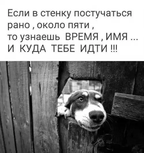 Смешная картинка №378210