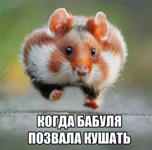 Смешная картинка №215645