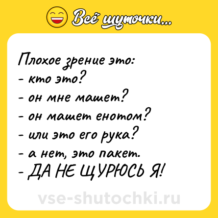 Шутка: Плохое зрение это: <br>- кто это?<br>- он мне машет?<br>- он машет енотом?<br>- или это его рука?<br>- а нет, это пакет.<br>- ДА НЕ ЩУРЮСЬ Я!