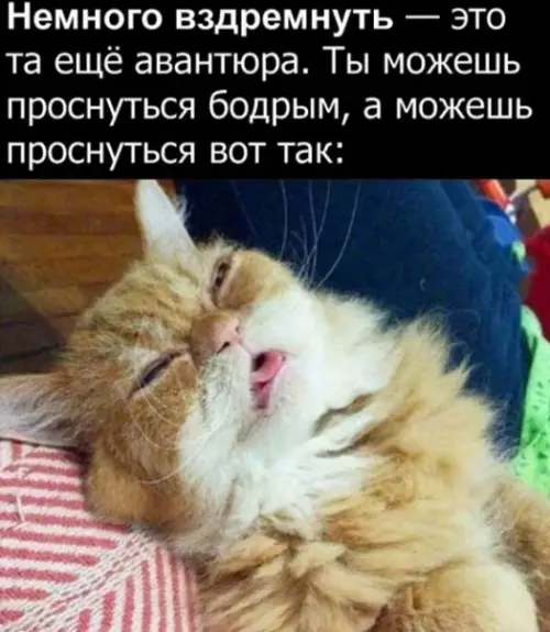 Смешная картинка №283743