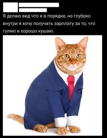 Смешная картинка №744121 Я много прошу?