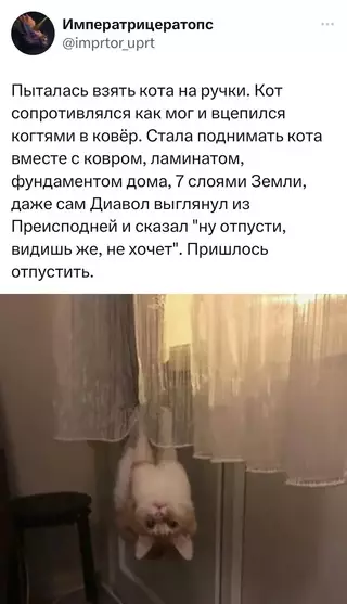 Смешная картинка №701865