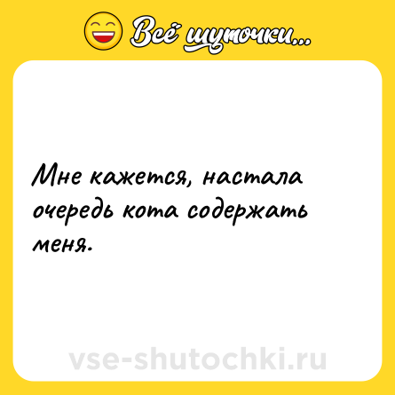 Шутка: Мне кажется, настала очередь кота содержать меня.