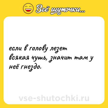 Шутка: если в голову лезет всякая чушь, значит там у неё гнездо.