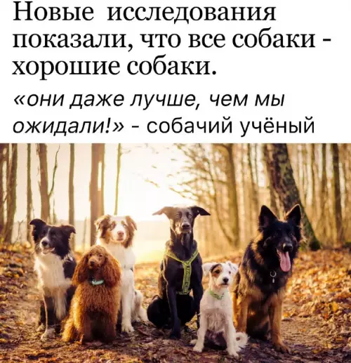 Смешная картинка №671976