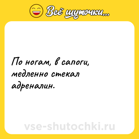 Шутка: По ногам, в сапоги, медленно стекал адреналин.