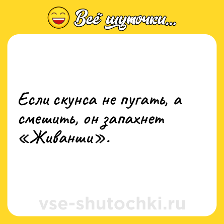 Шутка: Если скунса не пугать, а смешить, он запахнет «Живанши».