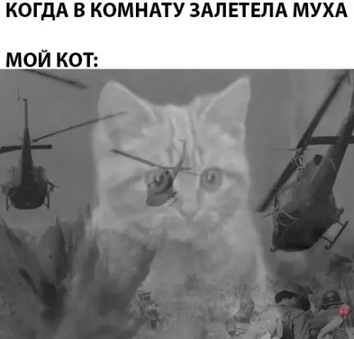 Смешная картинка №289833
