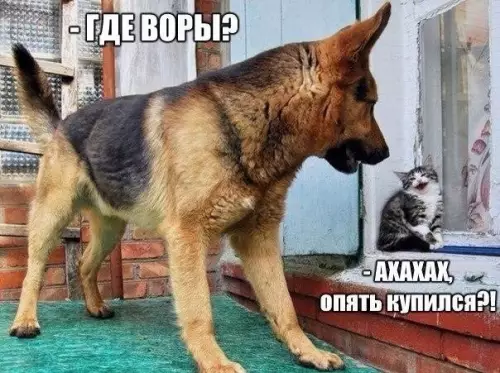 Смешная картинка №267376