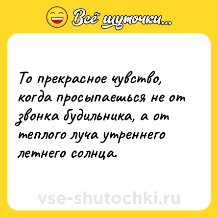Шутка: То прекрасное чувство, когда просыпаешься не от звонка будильника, а от теплого луча утреннего летнего солнца.