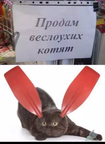 Смешная картинка №320917