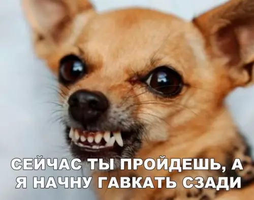 Смешная картинка №180230