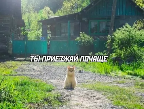 Смешная картинка №717217 Грустное...