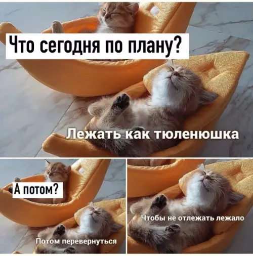 Смешная картинка №507741 Идeaльнo