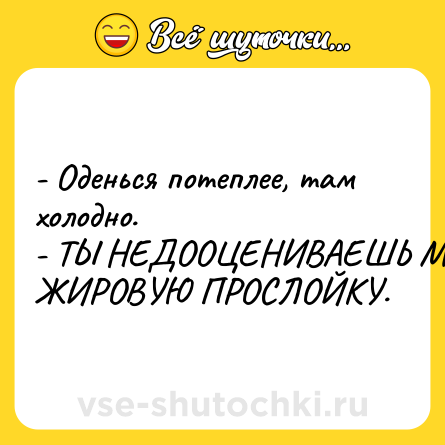 Шутка: - Оденься потеплее, там холодно.<br>- ТЫ НЕДООЦЕНИВАЕШЬ МОЮ ЖИРОВУЮ ПРОСЛОЙКУ.