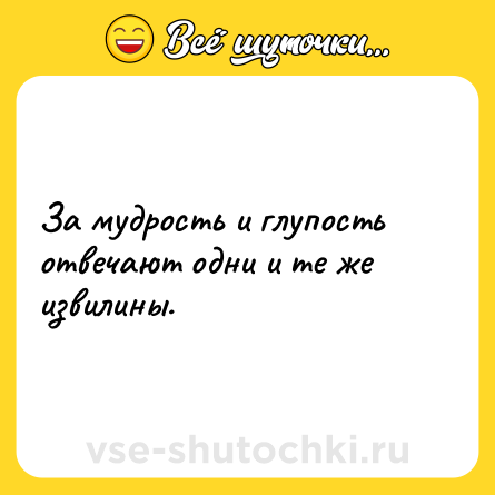 Шутка: За мудрость и глупость отвечают одни и те же извилины.
