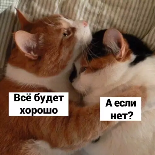 Смешная картинка №542445