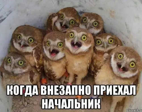 Смешная картинка №368567