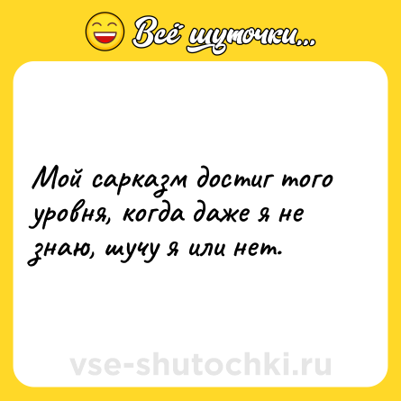 Шутка: Мой сарказм достиг того уровня, когда даже я не знаю, шучу я или нет.