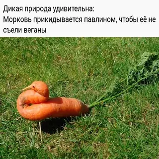 Смешная картинка №663986