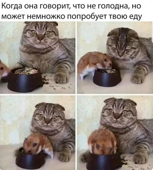 Смешная картинка №277158