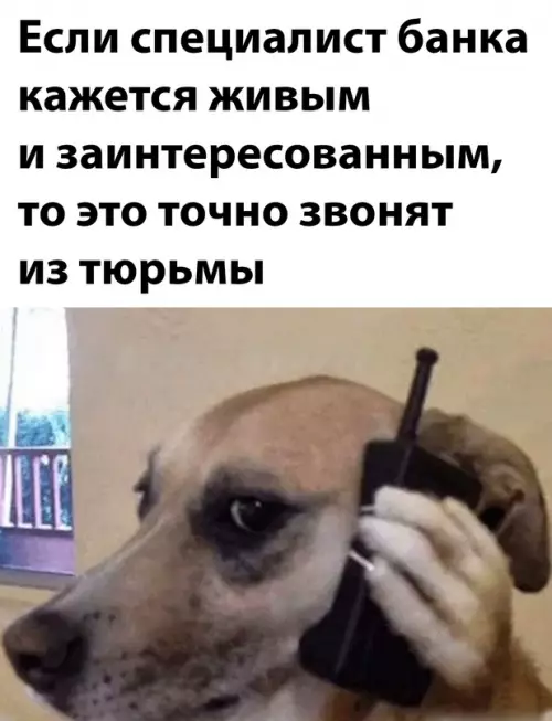 Смешная картинка №647104