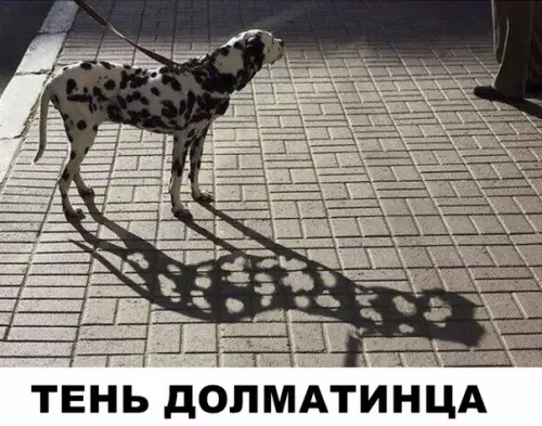 Смешная картинка №291463