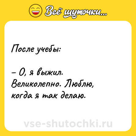 Шутка: После учебы: <br><br>– О, я выжил. Великолепно. Люблю, когда я так делаю.