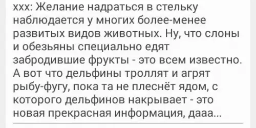 Смешная картинка №221596 Желание надраться.