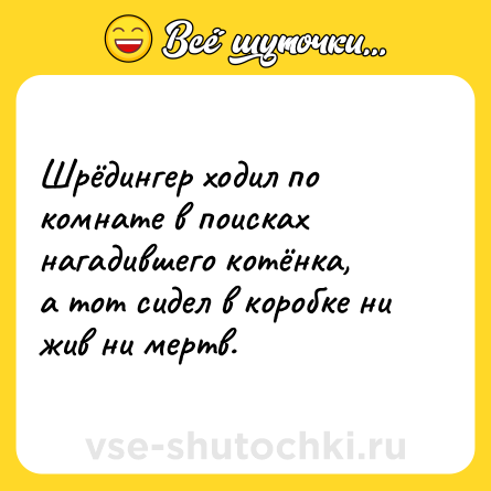 Шутка: Шрёдингер ходил по комнате в поисках нагадившего котёнка, <br>а тот сидел в коробке ни жив ни мертв.