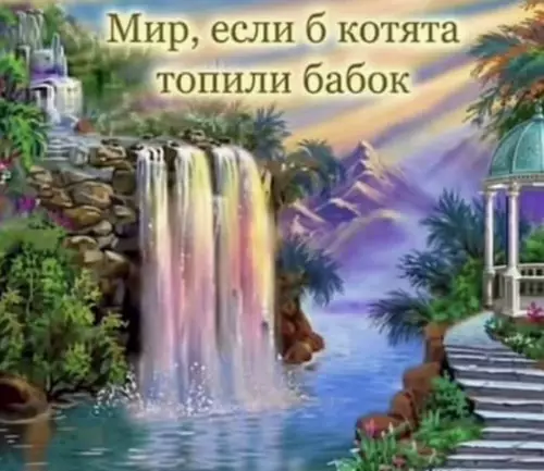Мир был бы сказкой 🐈✨ - Мир, если б котята топили бабок