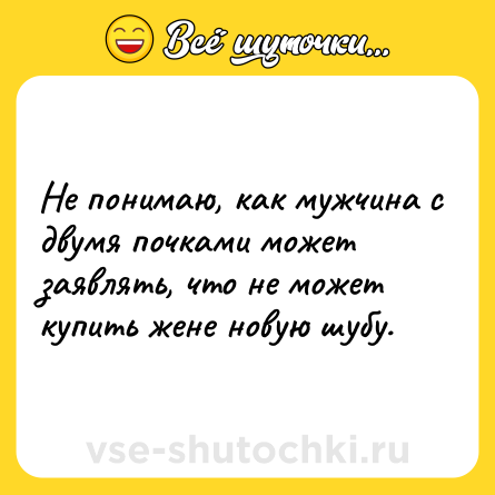 Шутка: Не понимаю, как мужчина с двумя почками может заявлять, что не может купить жене новую шубу.
