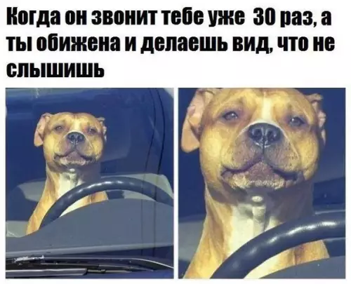 Смешная картинка №299700