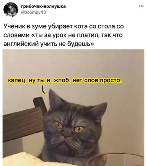 Смешная картинка №545951 Препятствие образованию кисулькина