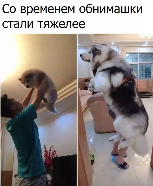 Смешная картинка №287311
