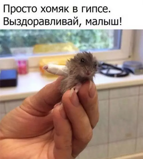 Смешная картинка №181755
