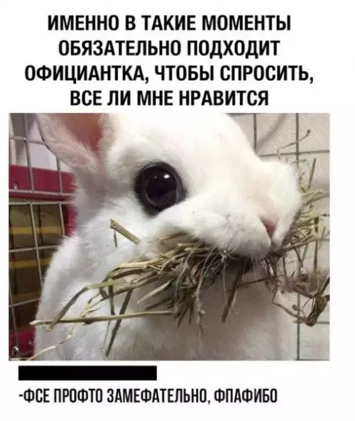 Смешная картинка №452154 Жизненно
