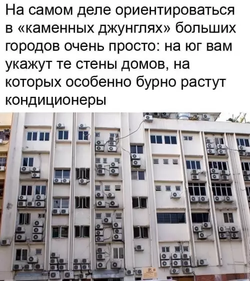 Навигатор по каменным джунглям 🏙️☀️ - На самом деле ориентироваться в каменных джунглях больших городов очень