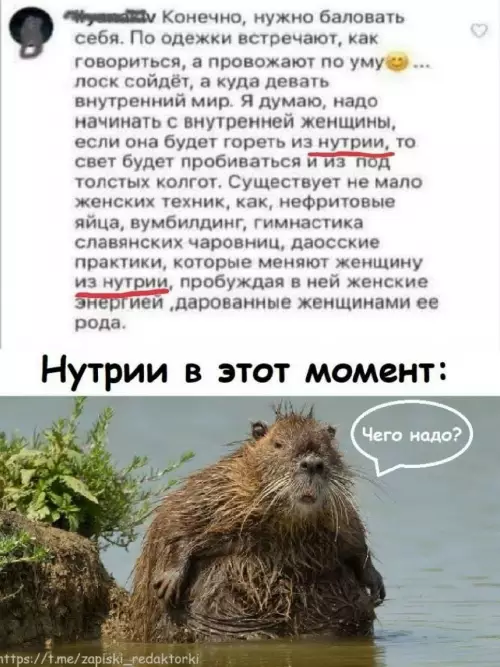 Смешная картинка №815430