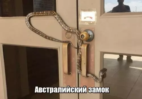 Смешная картинка №302084