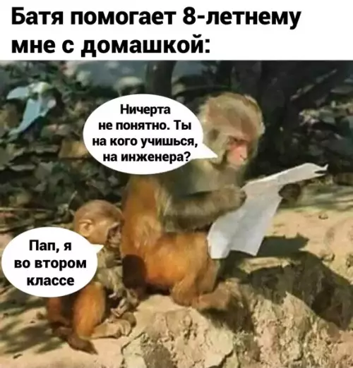 Смешная картинка №574837 Шкoлa