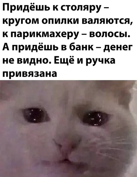 Смешная картинка №606875 Дeнeг нeт